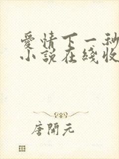 爱情下一秒有声小说在线收听