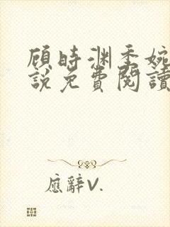 顾时渊季婉婷小说免费阅读最新章节