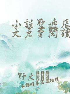 小说圣墟辰东全文免费阅读完整版