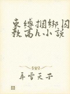 束缚捆绑囚禁调教高h小说