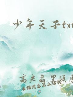 少年天子txt