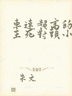 车速超高的双男主死对头小说