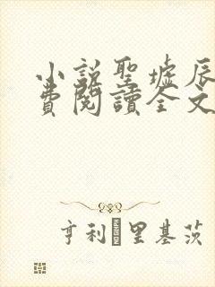 小说圣墟辰东免费阅读全文无窗口