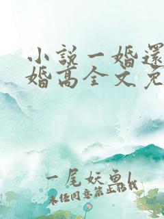 小说一婚还比一婚高全文免费阅读