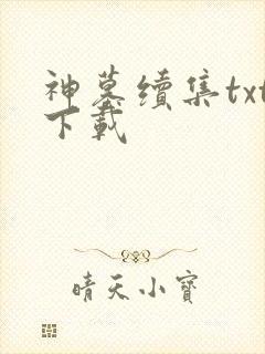 神墓续集txt下载