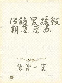 13的男孩叛逆期怎么办