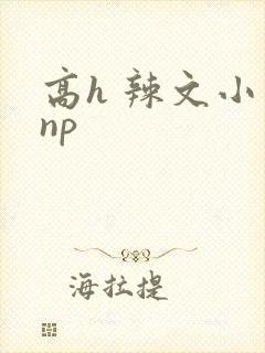 高h 辣文小说np