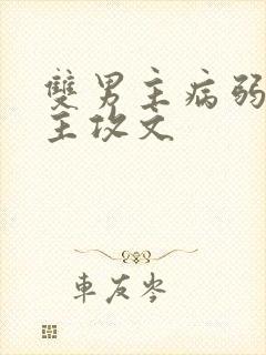 双男主病弱快穿主攻文