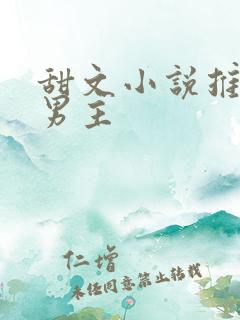 甜文小说推荐双男主