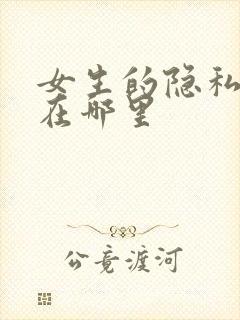 女生的隐私部位在哪里