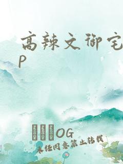 高辣文御宅屋np