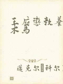 王府惩教养日常木马