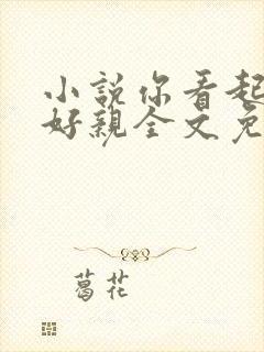 小说你看起来很好亲全文免费阅读