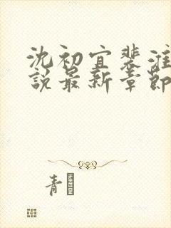 沈初宜裴淮聿小说最新章节免费阅读