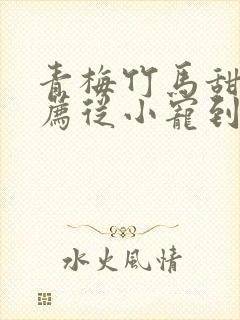 青梅竹马甜文推荐从小宠到大