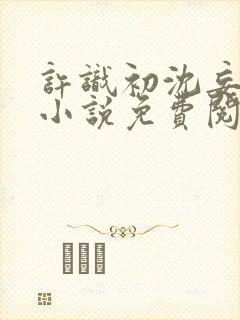 许识初沈妄津的小说免费阅读