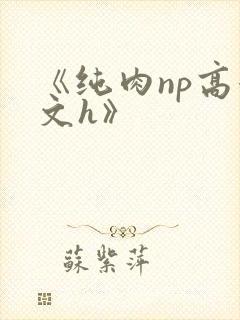 《纯肉np高辣文h》