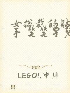 女总裁的贴身高手 笑笑星儿