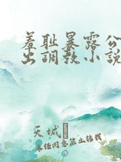 羞耻暴露公共露出调教小说