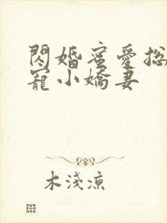 闪婚蜜爱总裁独宠小娇妻