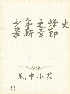 少年之烽火岁月最新章节