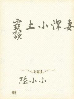 霸上小悍妻 小说