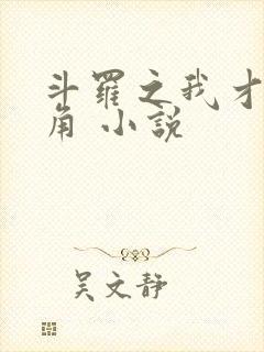 斗罗之我才是主角 小说