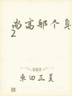 尚高那个臭小子2