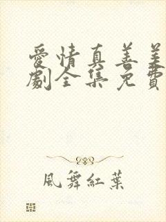 爱情真善美电视剧全集免费观看完整版