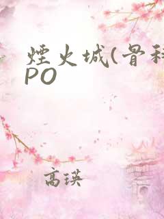 烟火城(骨科)PO