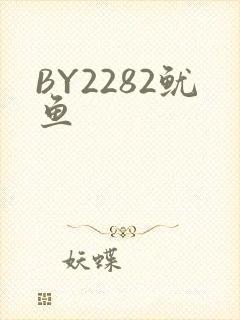 BY2282鱿鱼