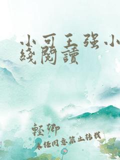 小可王强小说在线阅读