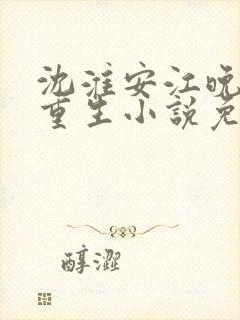 沈淮安江晚吟的重生小说免费阅读