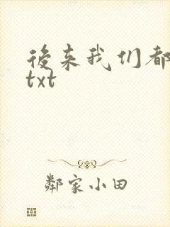 后来我们都哭了txt