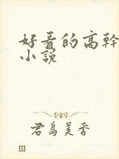 好看的高干宠文小说