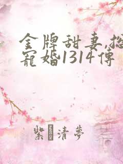 金牌甜妻,总裁宠婚1314传
