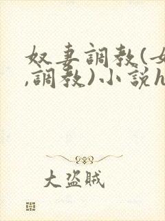 奴妻调教(女m,调教)小说hhh