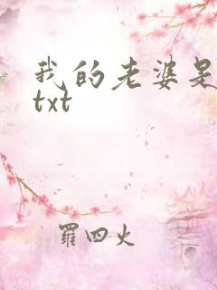 我的老婆是警察txt