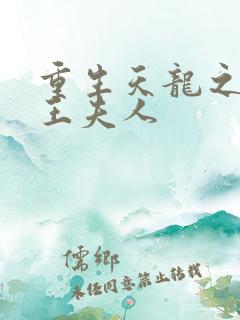 重生天龙之推倒王夫人