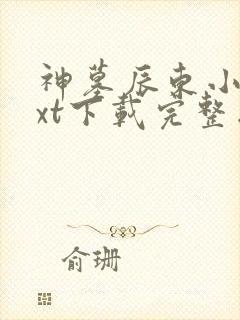 神墓辰东小说txt下载完整版