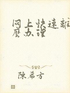 网上快速离婚怎么办理