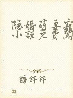 隐婚萌妻宠上瘾小说免费阅读