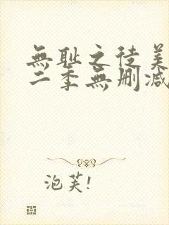 无耻之徒美版第二季无删减