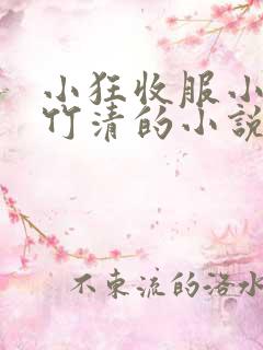 小狂收服小舞朱竹清的小说