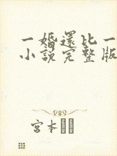一婚还比一婚高小说完整版全文阅读