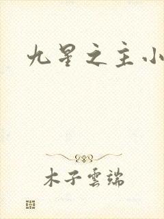 九星之主小说