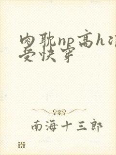 肉耽np高h浪受快穿