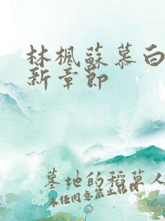 林枫苏慕白穿最新章节