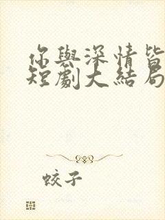 你与深情皆错过短剧大结局