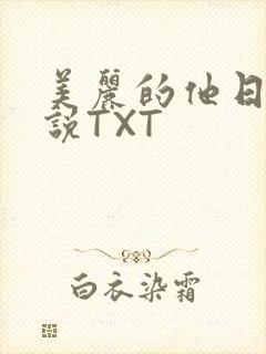 美丽的他日剧小说TXT